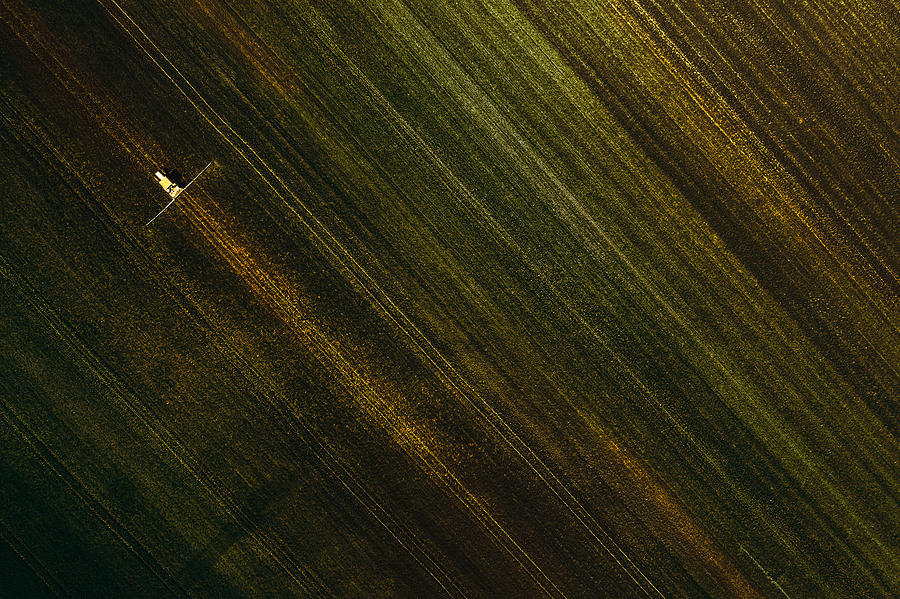 Lines Between The Fields Photograph by Carmine Chiriac