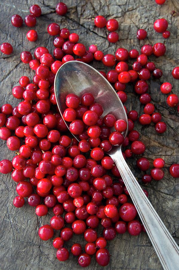 Lingonberries With A Spoon seen From Above Photograph by Martina Schindler