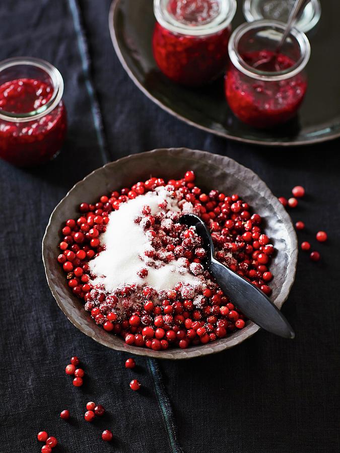 Lingonberry Jam Photograph by Thorsten Kleine Holthaus