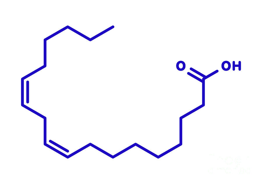 fatty acid molecule