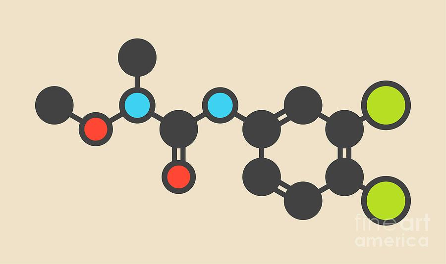 Linuron Herbicide Molecule Photograph by Science Photo Library Linuron Herbicide Molecule Photograph by Science Photo Library