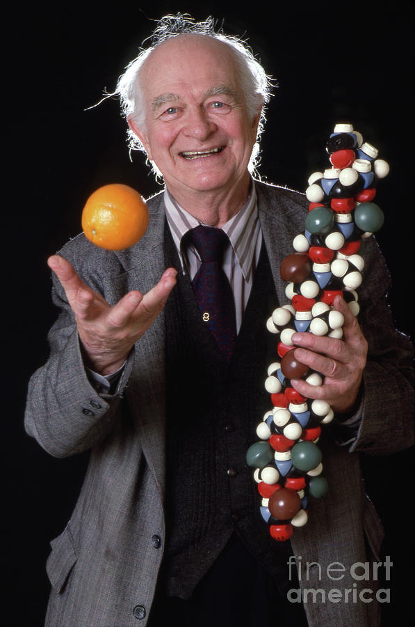 Linus Pauling Tossing An Orange Photograph by Corbis