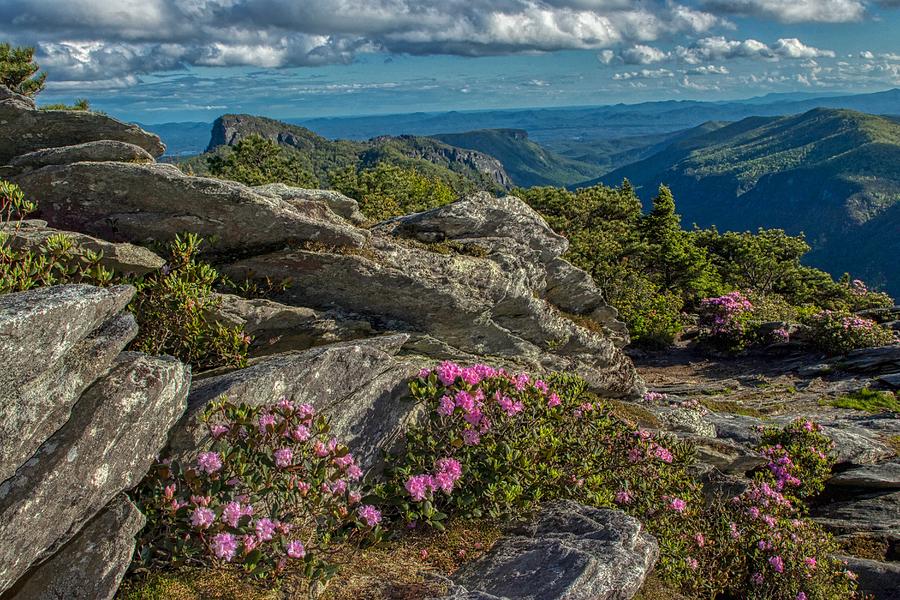 Linville Gorge Photograph by Dana Foreman