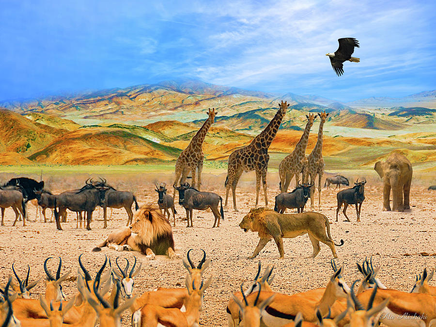 Giraffe Mixed Media - Lion African Safari 1a by Ata Alishahi