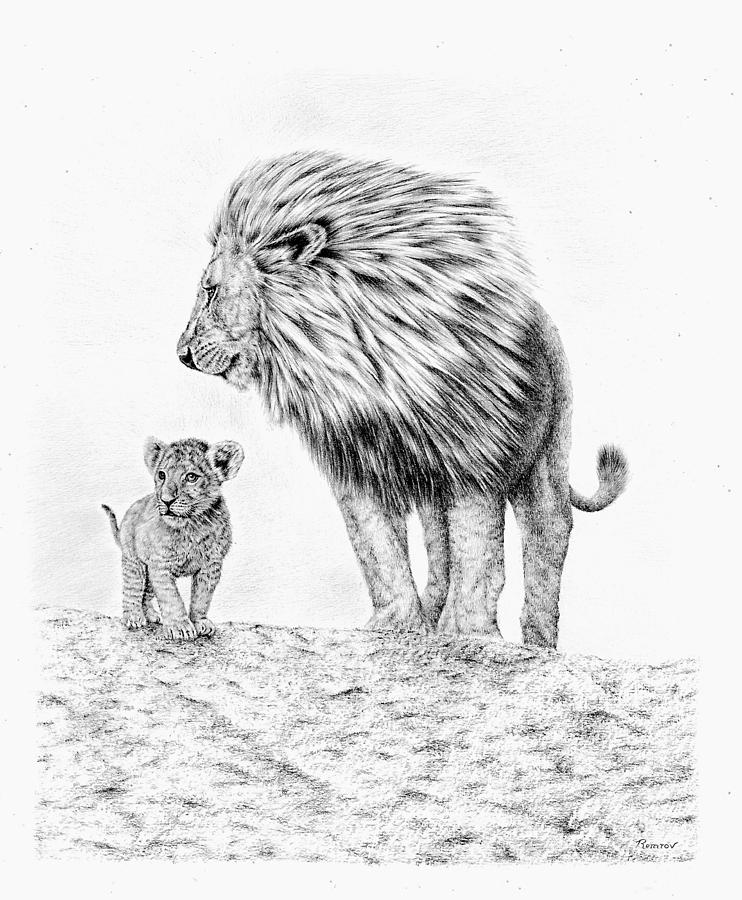 Lion and Cub Drawing by Casey Remrov Vormer