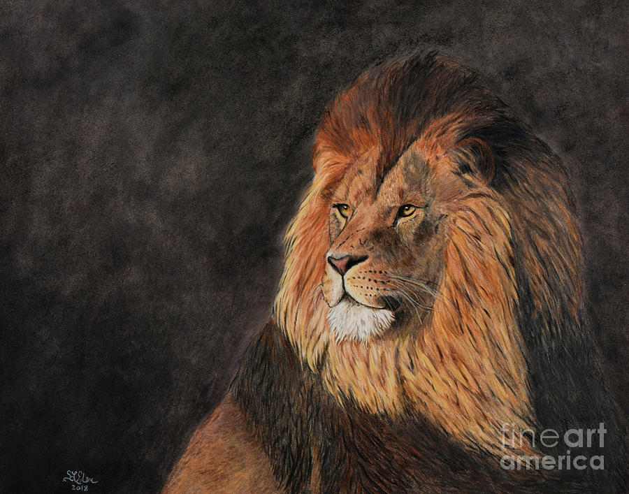 Lion at sunrise Drawing by Sheryl Elen - Fine Art America