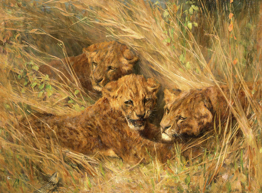 Arthur Wardle Painting - Lion cubs by Arthur Wardle