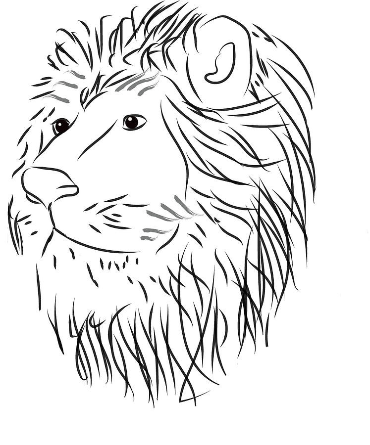 Lion Doodle 2 Photograph