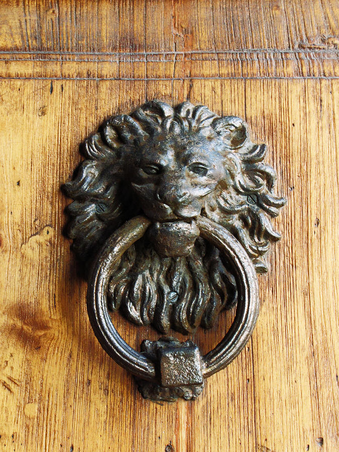 Lion Door Knocker Photograph by Taken By Chester Chu.