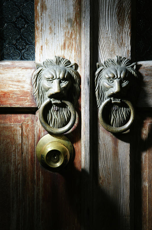 Lion Door Ring Photograph by Copyright By Patricklee