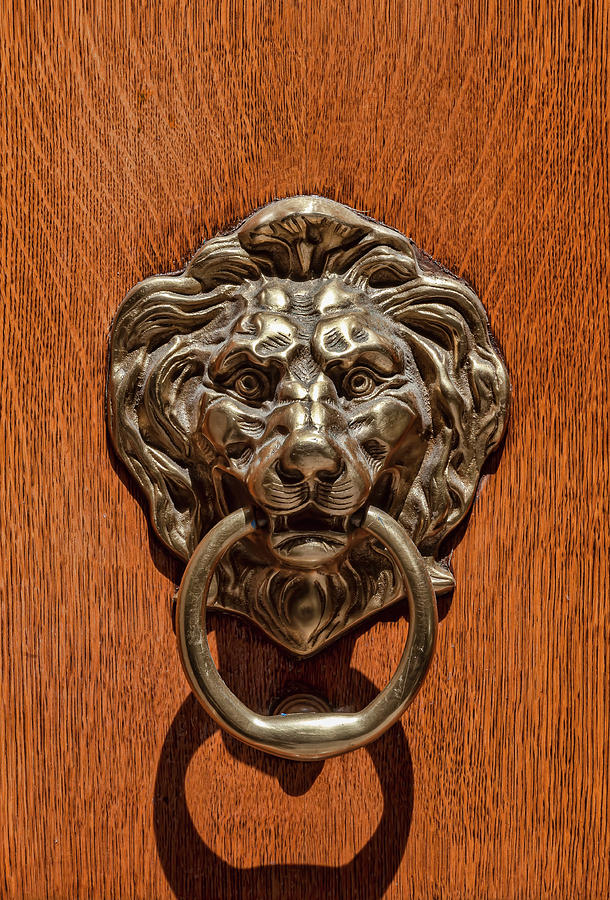 Lion Head Door Knocker Photograph by Robert Ullmann
