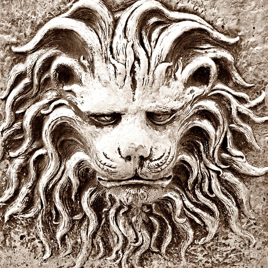 Lion Head Photograph