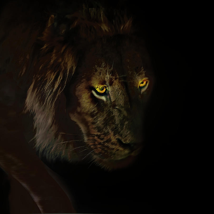 Lion in Den Digital Art by John Christopher