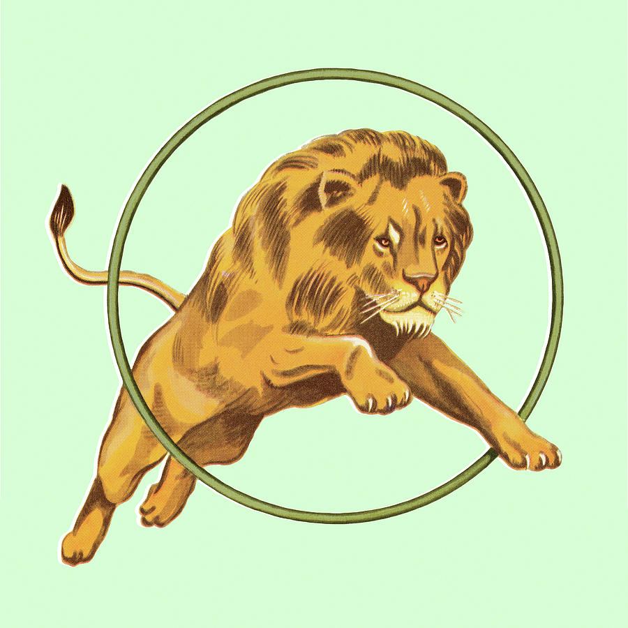 Vintage Drawing - Lion Jumping Through Hoop by CSA Images