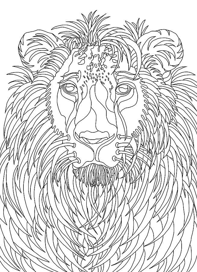 Animal Drawing - Lion by Kathy G. Ahrens