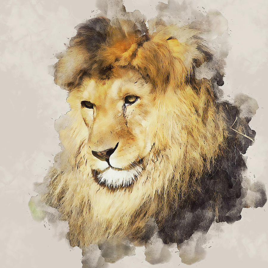 Lion King - 04 Painting by AM FineArtPrints