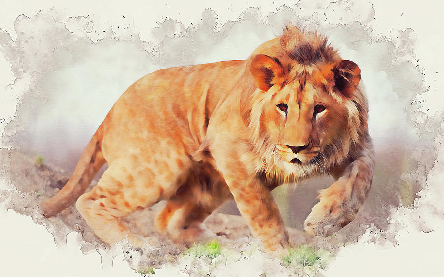 Lion King - 07 Painting by AM FineArtPrints