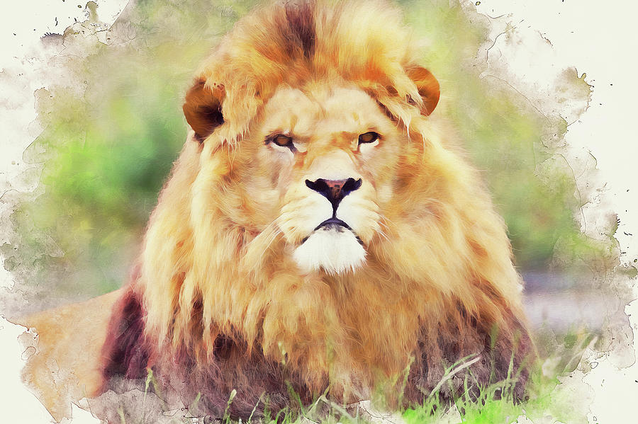 Lion King - 10 Painting by AM FineArtPrints
