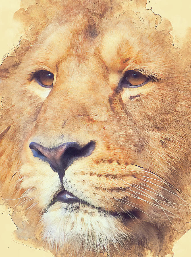 Lion King - 14 Painting by AM FineArtPrints