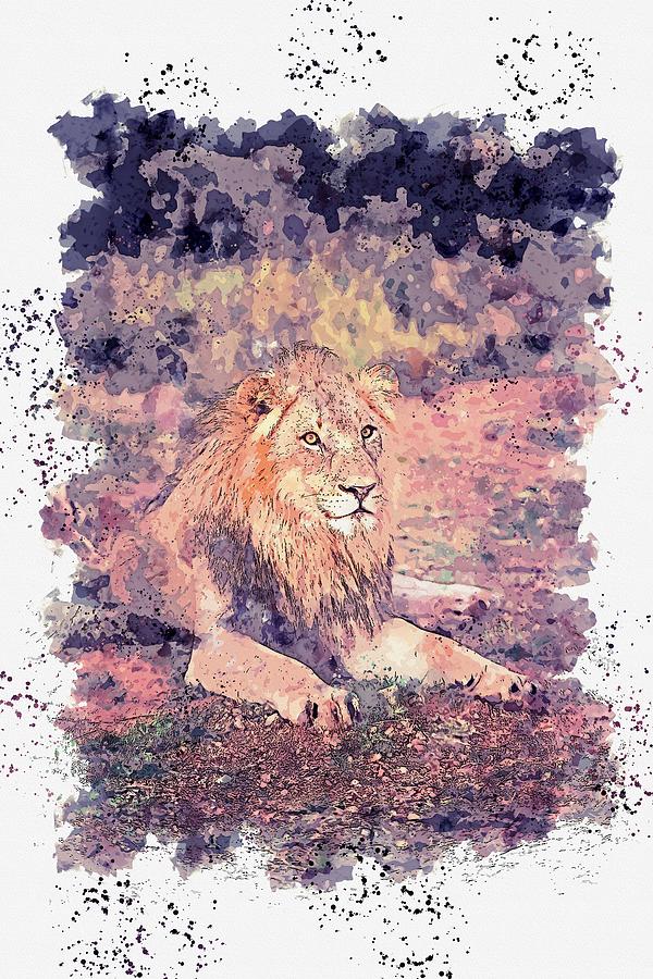 Lion Lying On Ground -  Watercolor By Ahmet Asar Painting
