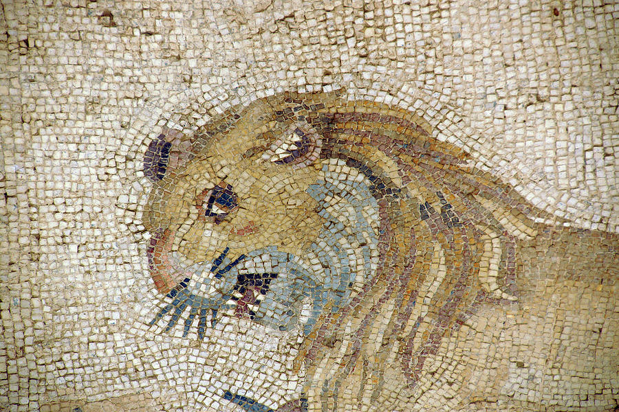Lion mosaic in the ruins of a villa  Photograph by Steve Estvanik