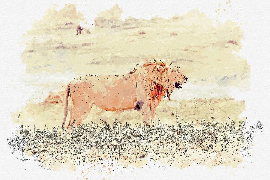 Lion, Ngorongoro, Tanzania -  watercolor by Ahmet Asar Painting by Celestial Images