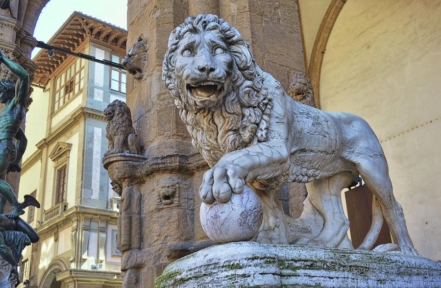 Lion Of Florence Photograph by JAMART Photography