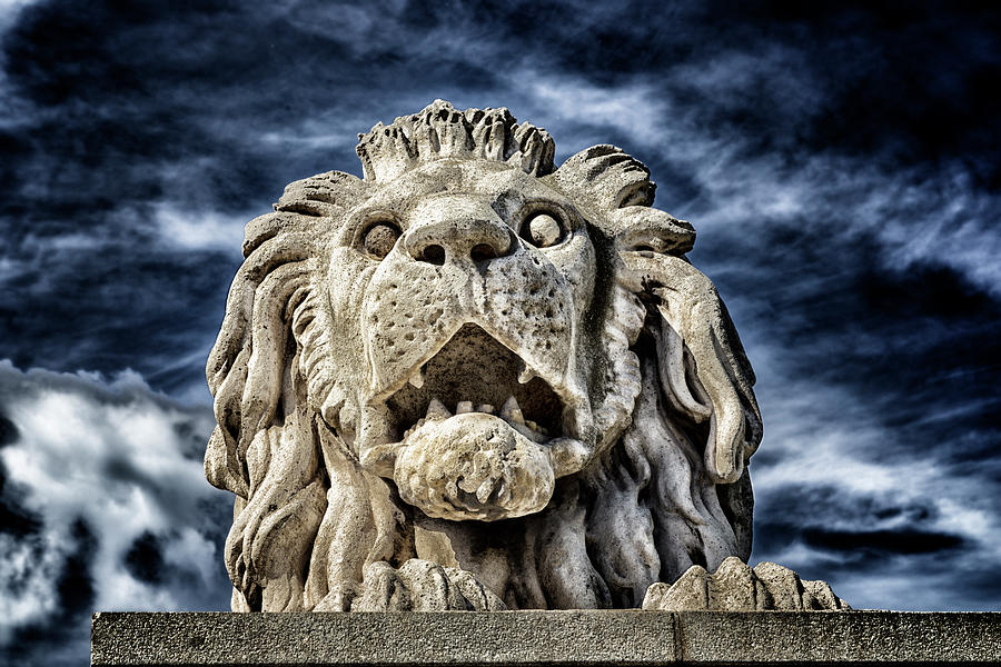 Lion of the Chain Bridge in Budapest Photograph by Vivida Photo PC