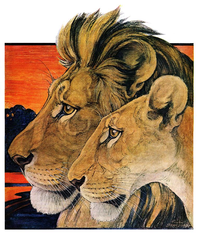 Lion Pair Drawing by Paul Bransom