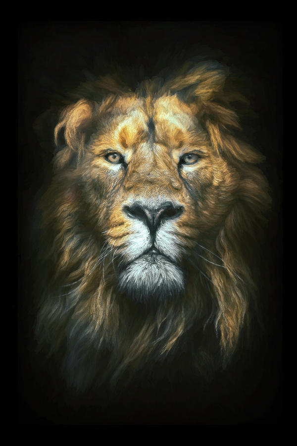 Nature Mixed Media - Lion Portrait by Amanda Jane