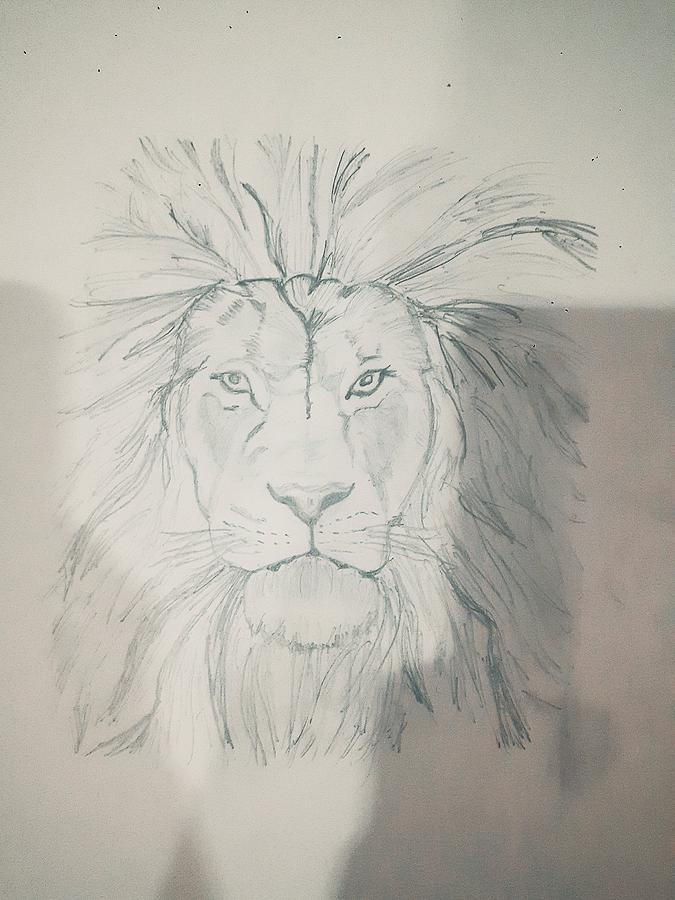 60+ Free Lion Logo & Lion Images - Pixabay