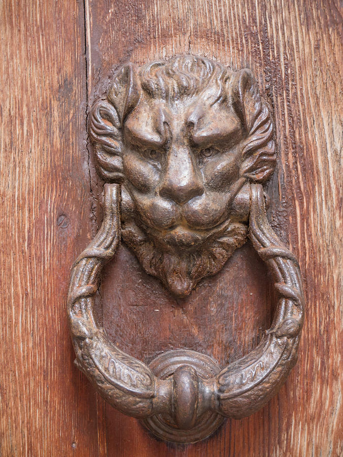 Lion shaped door knocker on wooden door Photograph by Tosca Weijers