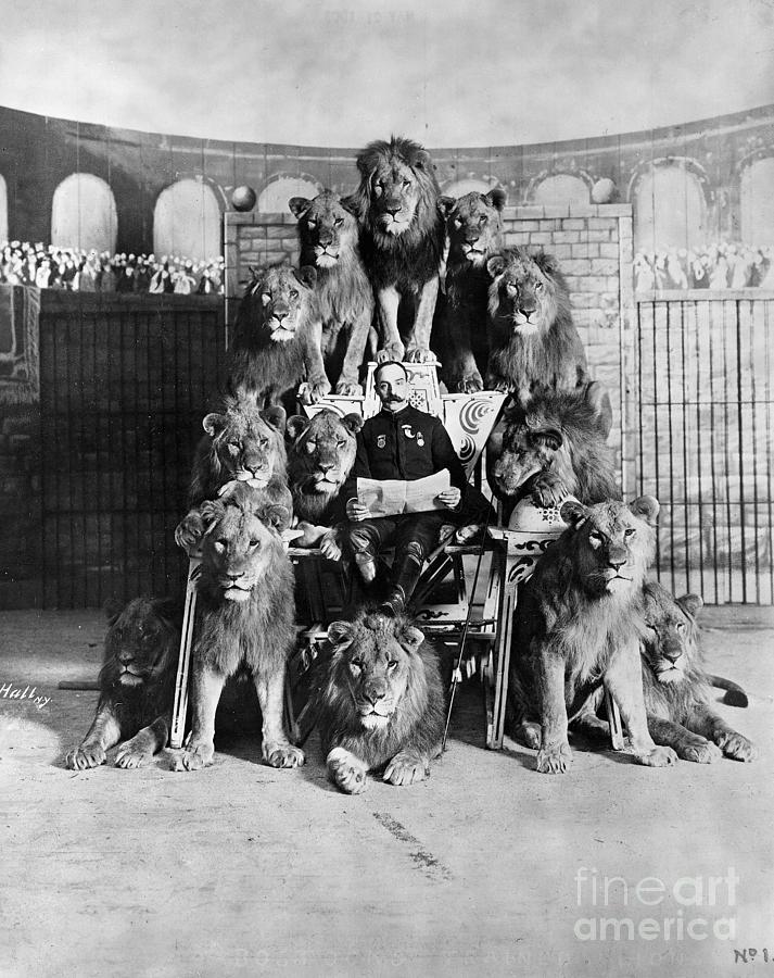 Lion Tamer Surrounded By His Lions by Bettmann