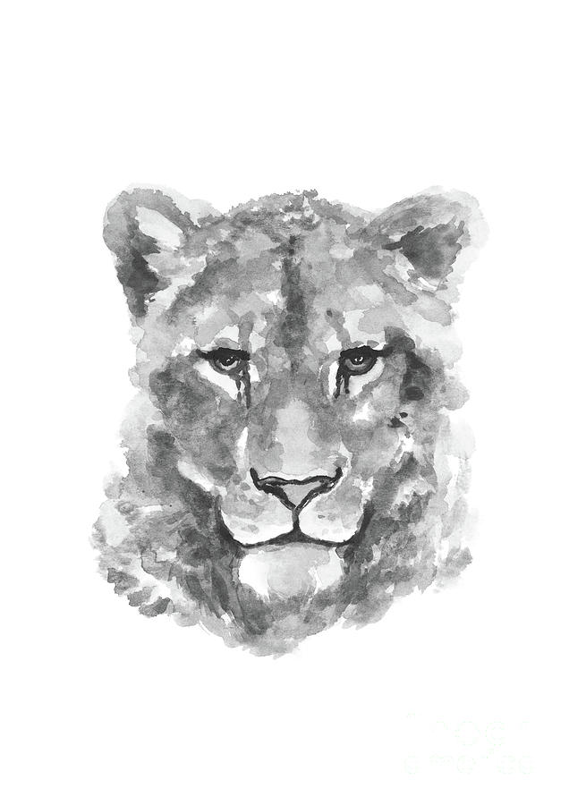 Lioness Illustration Black White Wild Animal Art Print Painting by Joanna  Szmerdt - Pixels