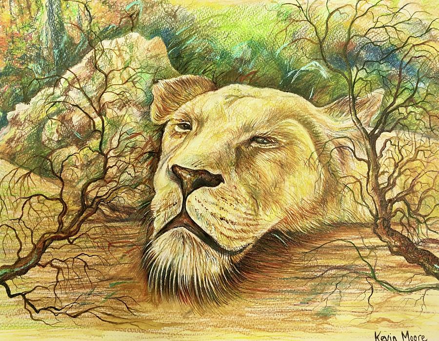 Lioness Resting Painting by Kevin Derek Moore