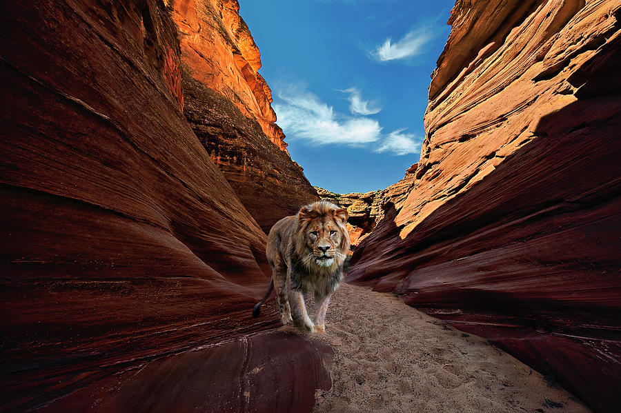 Lions Gate Digital Art by John Christopher