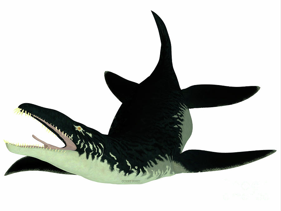 Liopleurodon Reptile on White Digital Art by Corey Ford