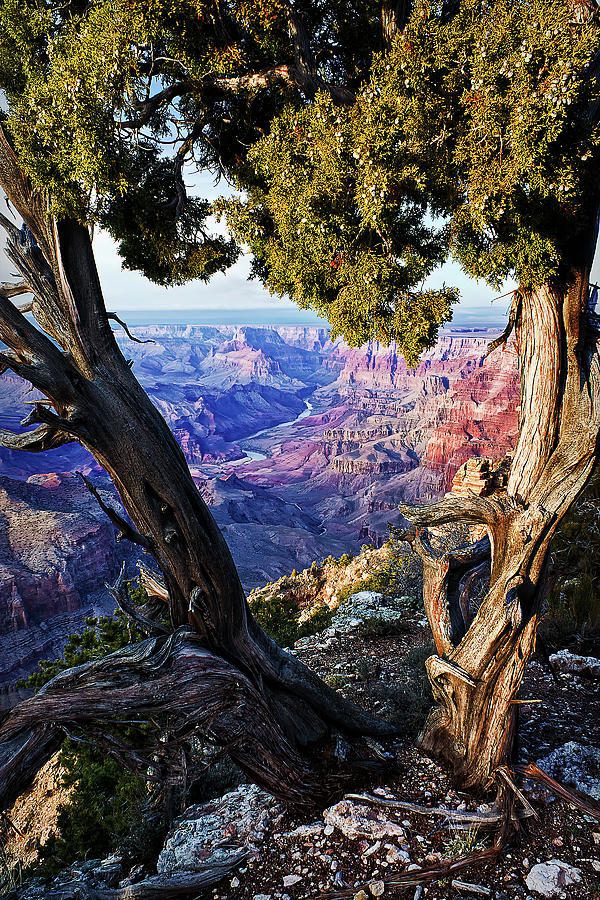 Grand Canyon National Park Photograph - Lipan Point View by Priscilla Burgers