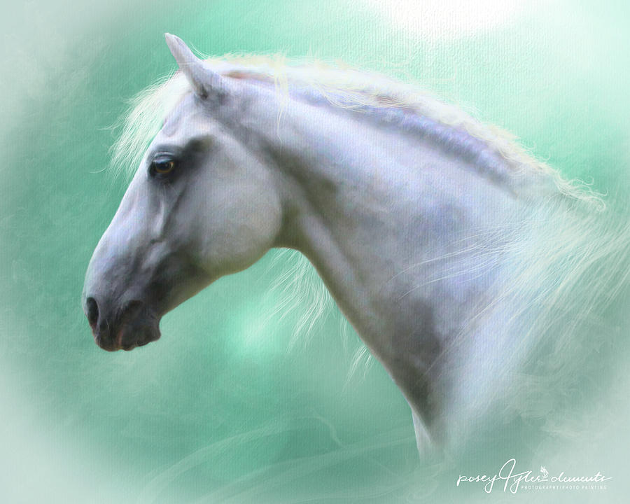Lippizan Stallion Digital Art by Posey Clements