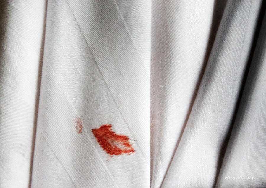 Lipstick on curtains Photograph by Micah Offman