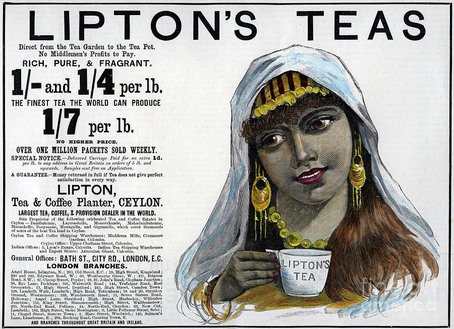 Liptons Teas Advertisement, 1893 Drawing by Print Collector