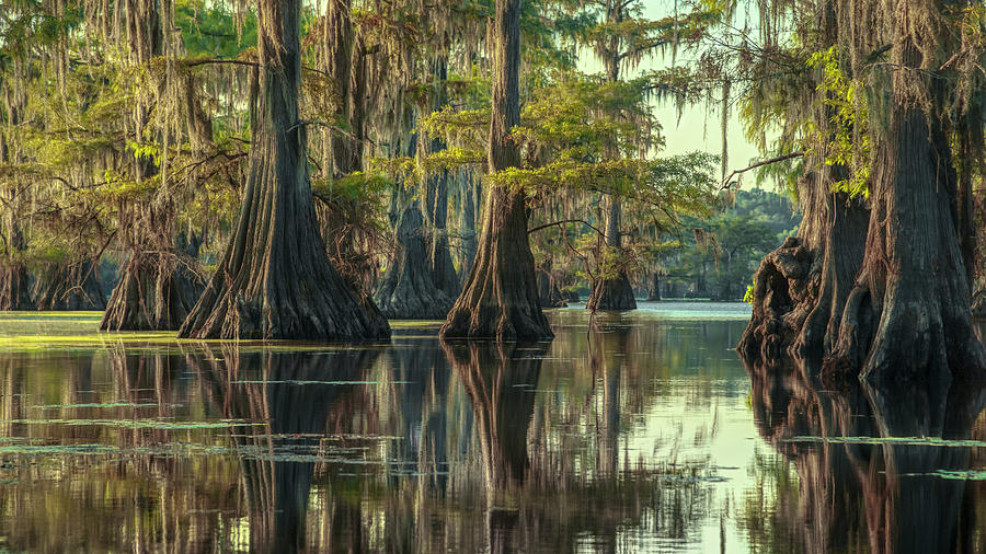 Liquid Glass Photograph by Robert Miller - Fine Art America