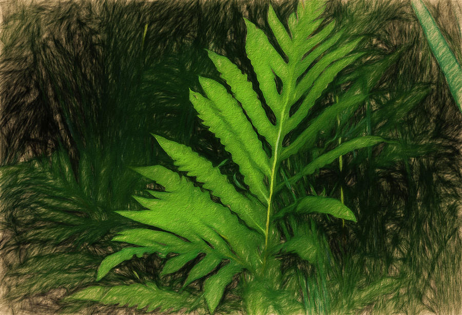 Nature Photograph - Liquid Pencil Drawing Green Ferns by Anthony Paladino