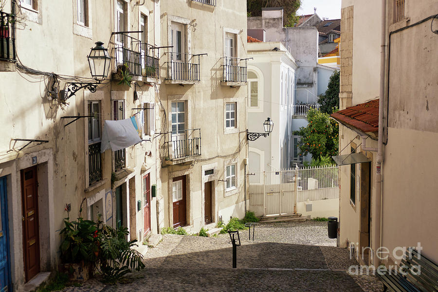 Lisbon Steps Photograph