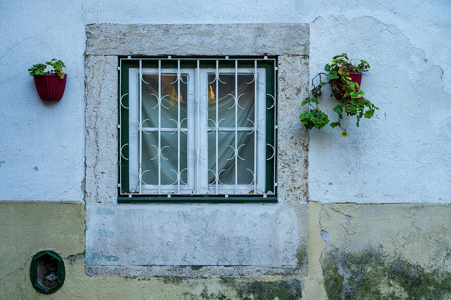 Castelo Photograph - Lisbon Window by Michael Blanchette Photography