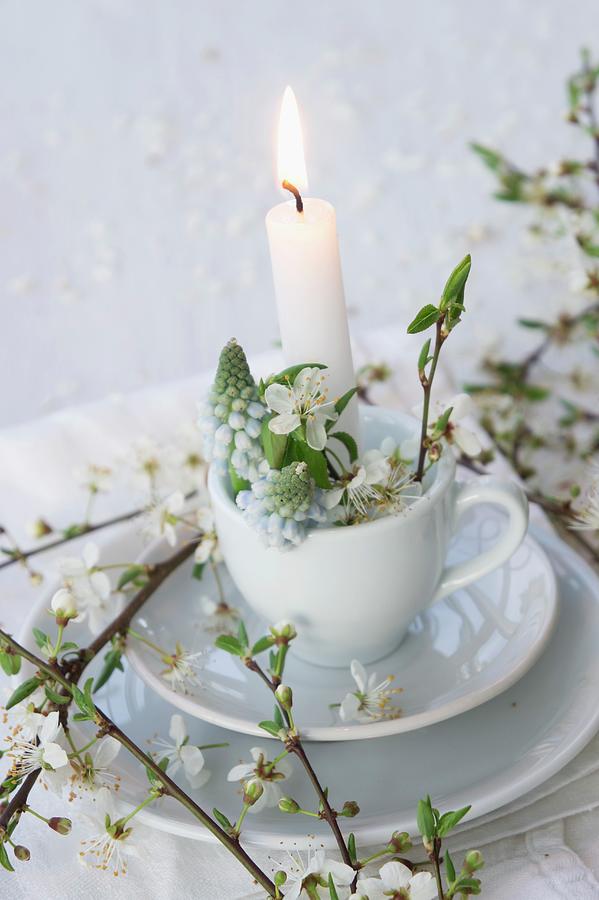 Lit Candle In Teacup Decorated With Grape Hyacinths And Branches Of Blackthorn Blossom Photograph by Martina Schindler