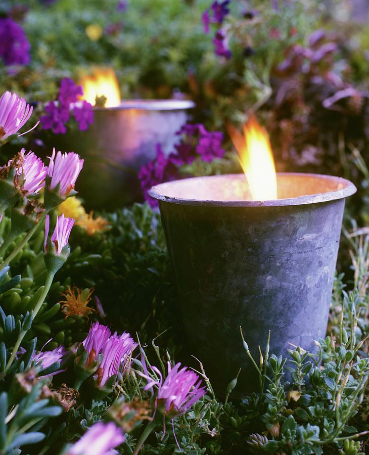 Lit Candles In Flowerbed At Twilight Photograph by Matteo Manduzio