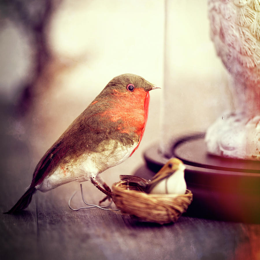 Still Life Photograph - Little Antique Robin by Tom Quartermaine