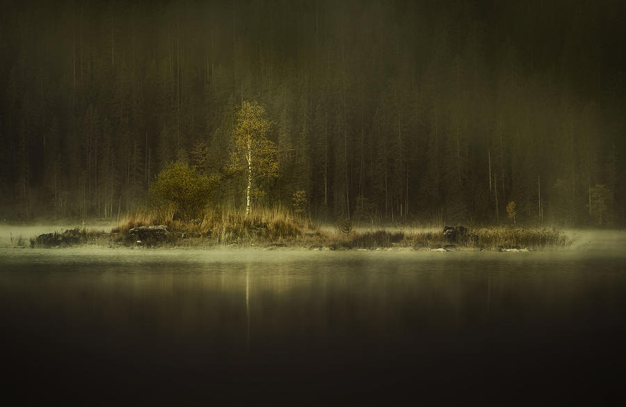 Fall Photograph - Little Autumn Island by Norbert Maier