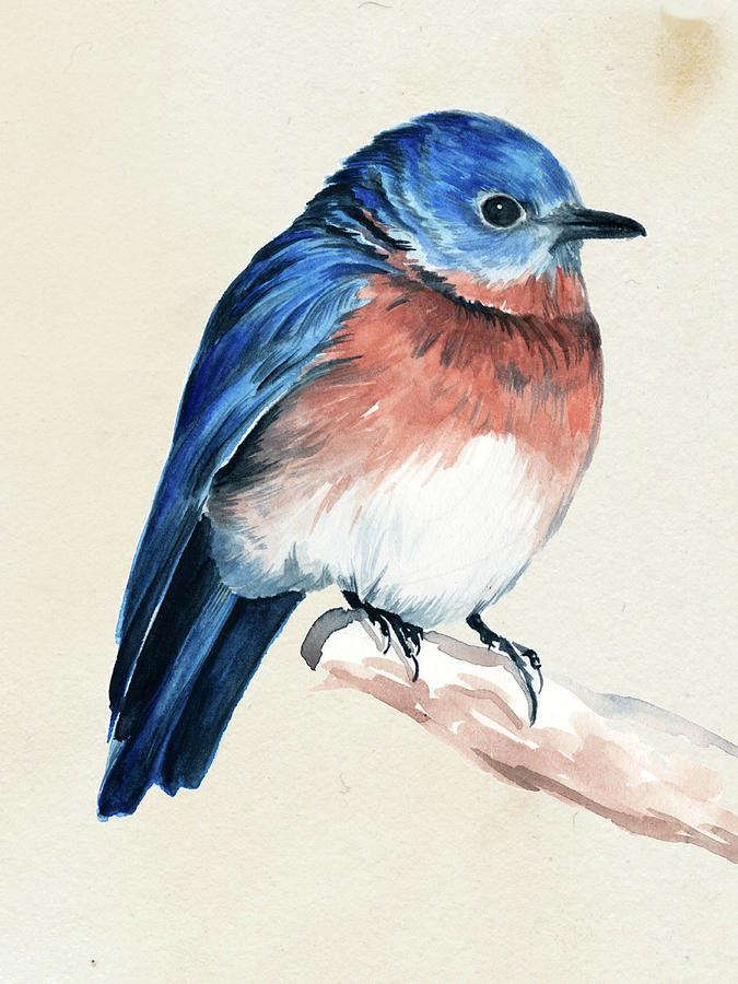 Animal Painting - Little Bird On Branch I by Jennifer Paxton Parker